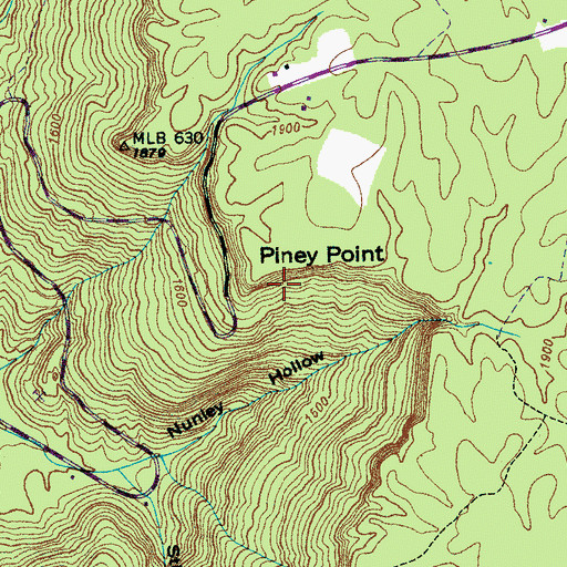 Topographic Map of Piney Point, TN