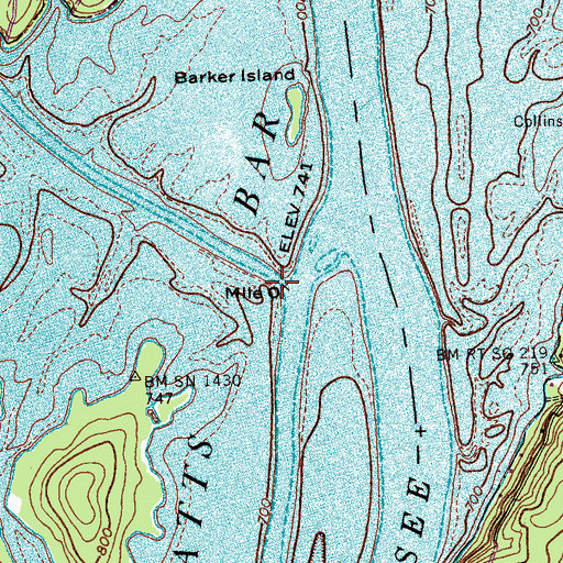Topographic Map of Piney River, TN
