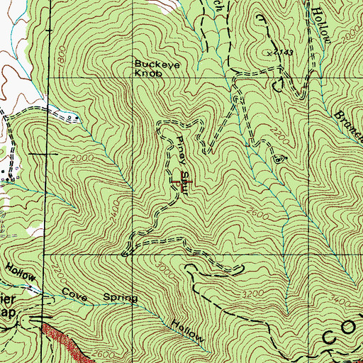 Topographic Map of Piney Spur, TN