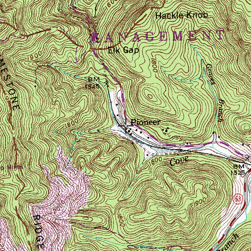 Topographic Map of Pioneer, TN
