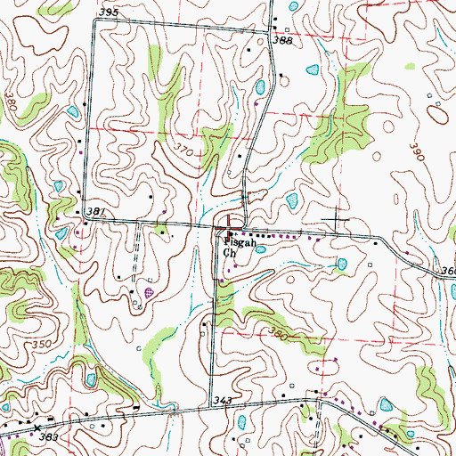 Topographic Map of Pisgah Church, TN