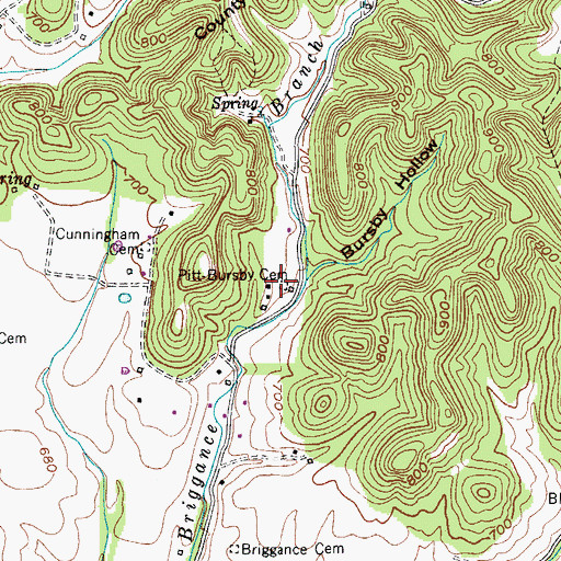 Topographic Map of Pitt-Bursby Cemetery, TN