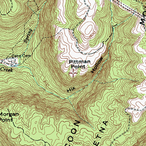 Topographic Map of Pittman Point, TN