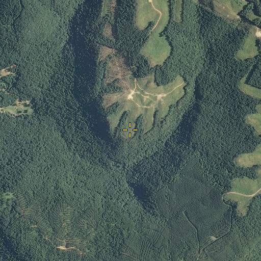 Aerial/Satellite Image of Pittman Point, TN