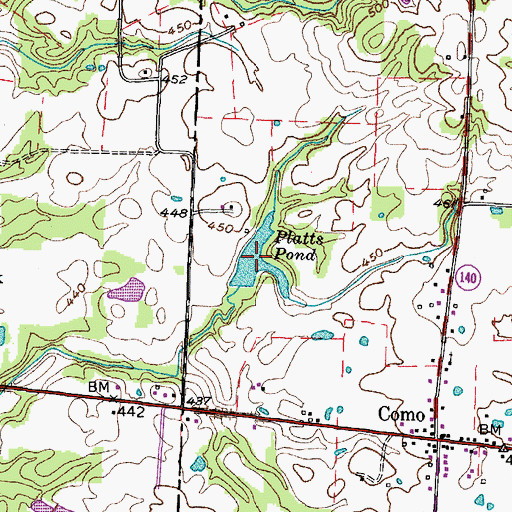 Topographic Map of Platts Pond, TN