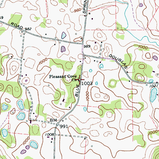Topographic Map of Pleasant Cove Church, TN