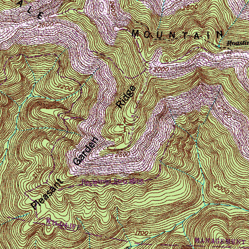 Topographic Map of Pleasant Garden Ridge, TN