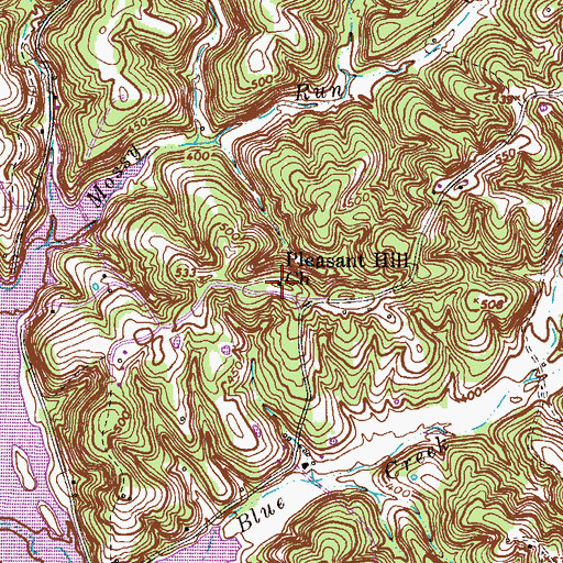 Topographic Map of Pleasant Hill Church, TN