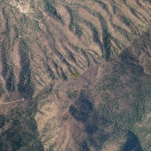 Aerial/Satellite Image of Pleasant View, TN