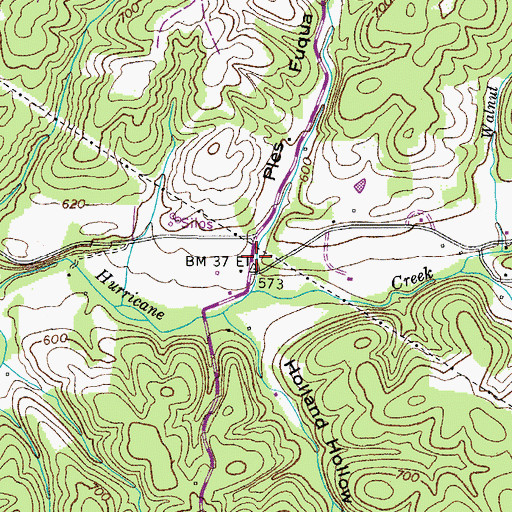 Topographic Map of Ples Euqua Hollow, TN