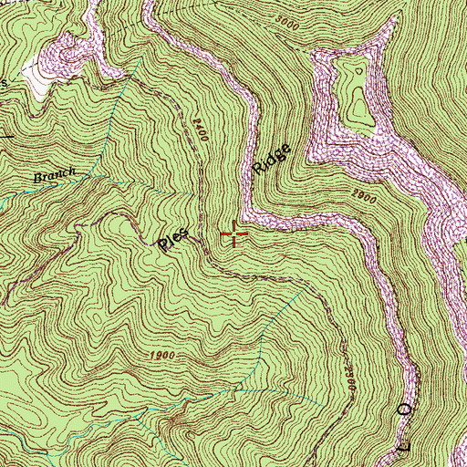 Topographic Map of Ples Ridge, TN