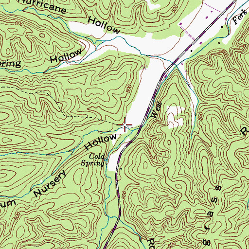 Topographic Map of Plum Nursery Hollow, TN