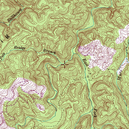 Topographic Map of Pole Bridge Branch, TN