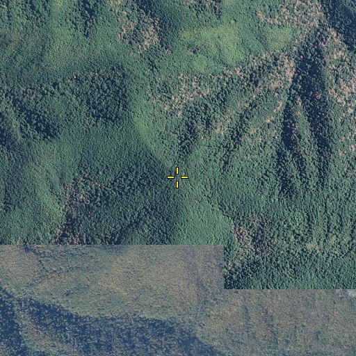 Aerial/Satellite Image of Pole Knob, TN