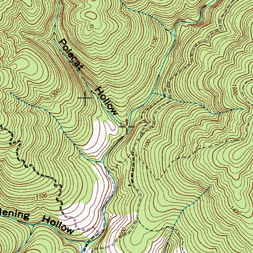 Topographic Map of Polecat Hollow, TN