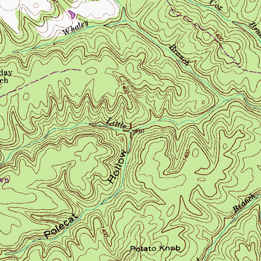 Topographic Map of Polecat Hollow, TN