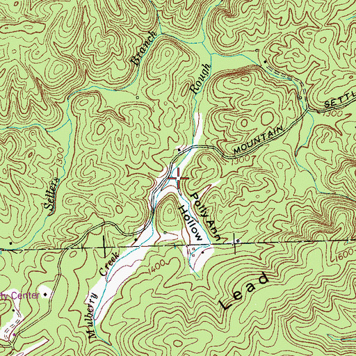 Topographic Map of Polly Ann Hollow, TN