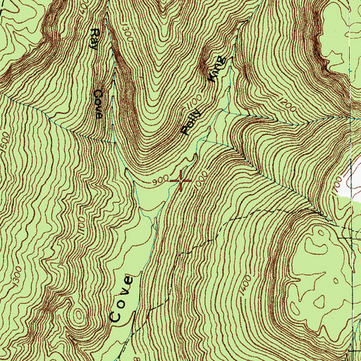 Topographic Map of Polly King Cove, TN