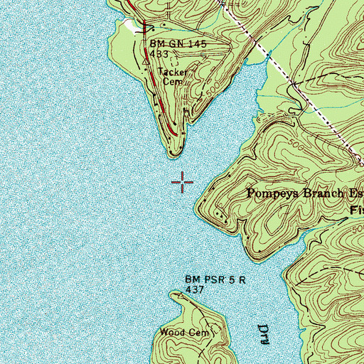 Topographic Map of Pompeys Branch, TN