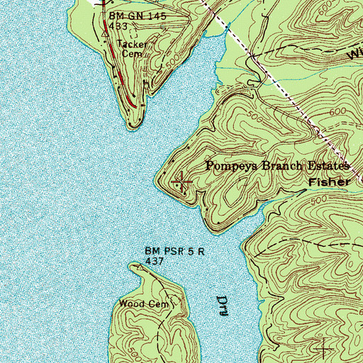 Topographic Map of Pompeys Branch Estates, TN