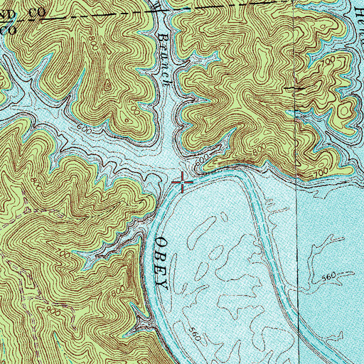 Topographic Map of Poor Branch, TN