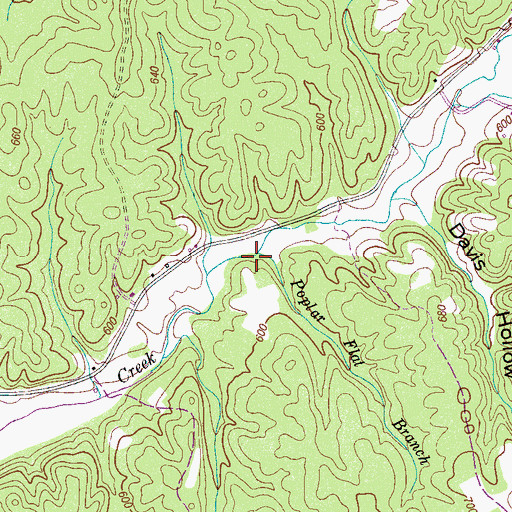Topographic Map of Poplar Flat Branch, TN