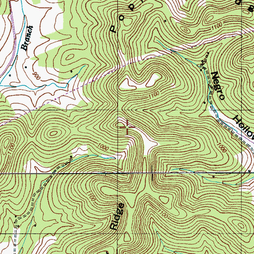 Topographic Map of Poplar Ridge, TN