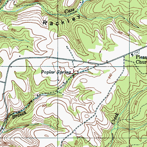 Topographic Map of Poplar Spring, TN