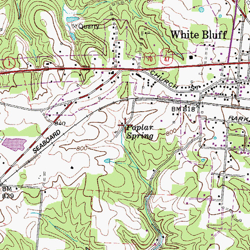 Topographic Map of Poplar Spring, TN