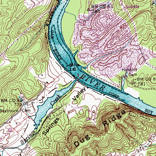Topographic Map of Poplar Springs Creek, TN