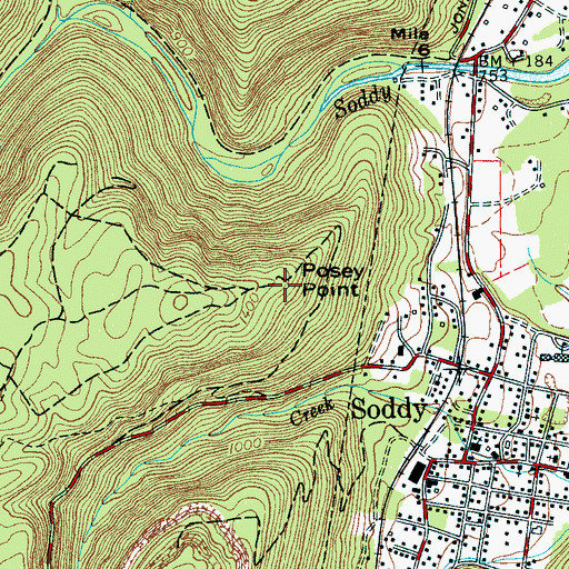 Topographic Map of Posey Point, TN