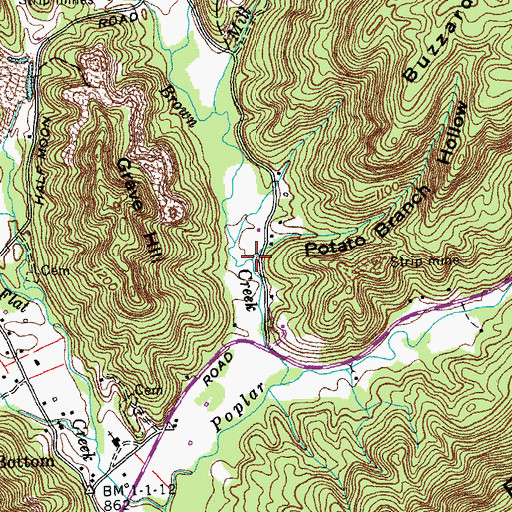 Topographic Map of Potato Branch Hollow, TN