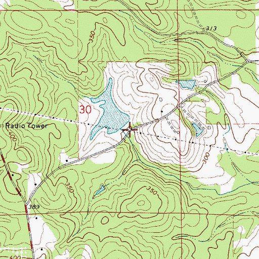 Topographic Map of W C Allen Dam, AL