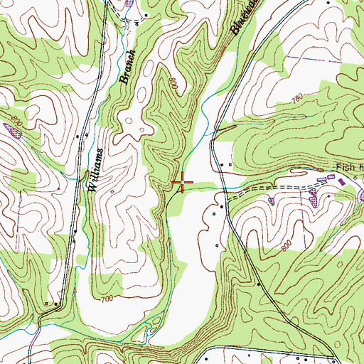 Topographic Map of Powell Branch, TN