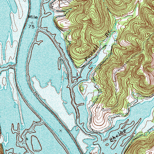 Topographic Map of Powell Branch, TN