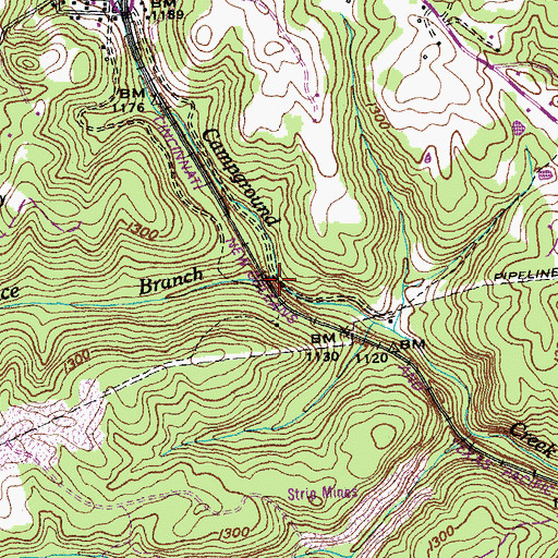 Topographic Map of Price Branch, TN