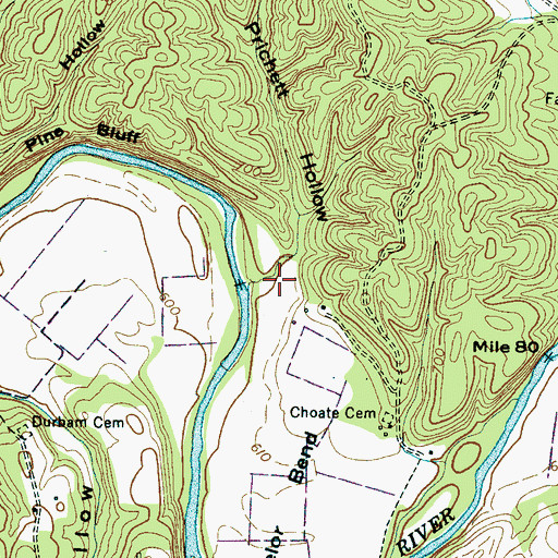 Topographic Map of Prichett Hollow, TN