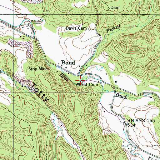 Topographic Map of Prickett Branch, TN