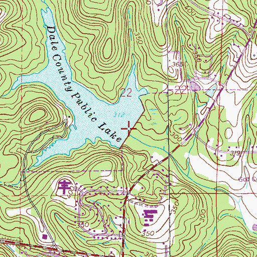 Topographic Map of Dale County Public Lake Dam, AL