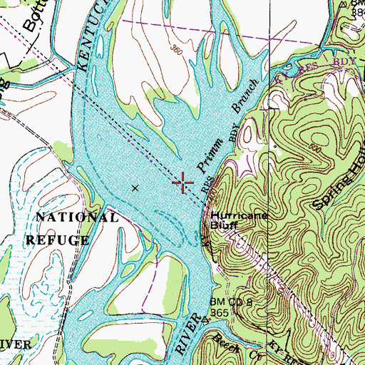 Topographic Map of Primm Branch, TN