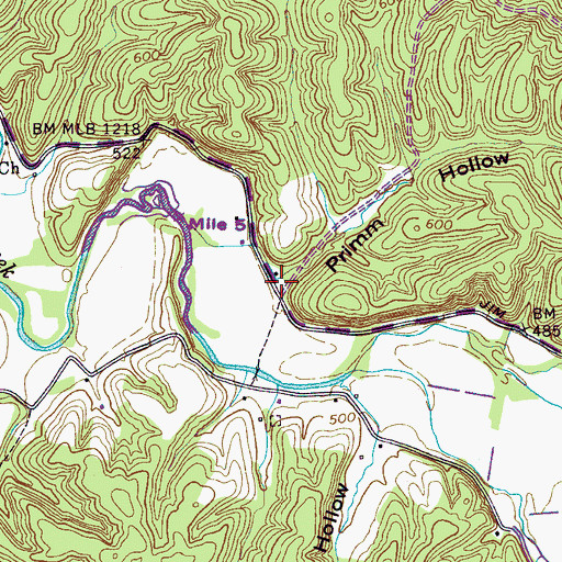 Topographic Map of Primm Hollow, TN