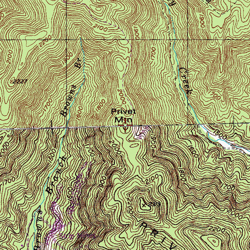 Topographic Map of Privet Mountain, TN