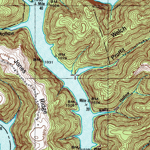 Topographic Map of Proffit Hollow, TN