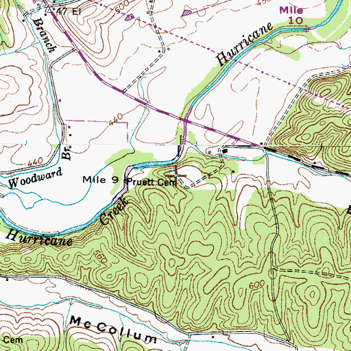 Topographic Map of Pruett Cemetery, TN