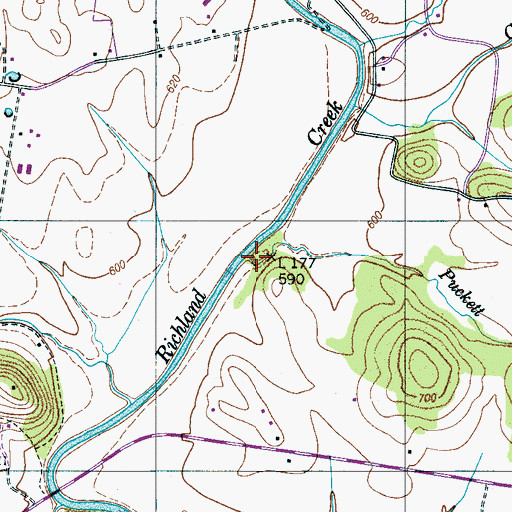 Topographic Map of Puckett Branch, TN