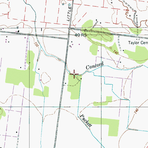Topographic Map of Puckett Branch, TN