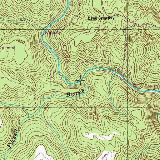 Topographic Map of Puckett Branch, TN