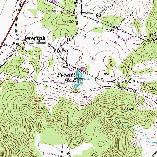 Topographic Map of Puckett Pond, TN