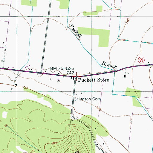 Topographic Map of Puckett Store, TN