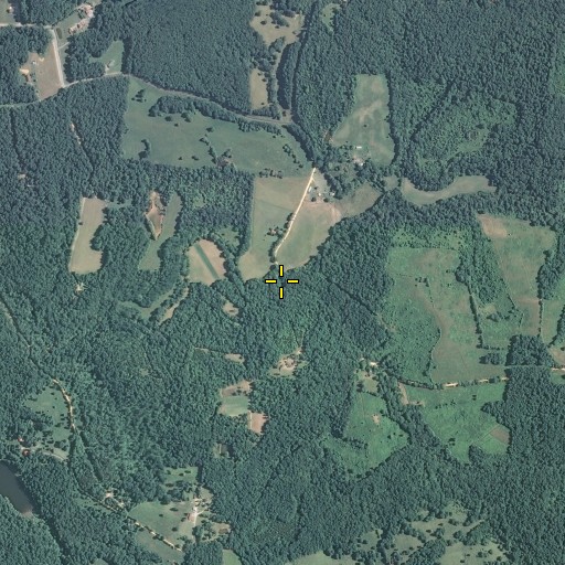 Aerial/Satellite Image of Pumpkin Branch, TN